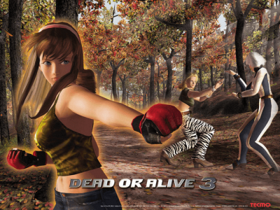 Dead or Alive 3 (USA) Title  Snaps